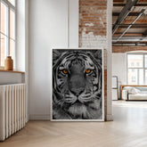 Golden Stare | Tiger Face Portrait Wall Art Print - Print